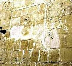 Hathor in cow form