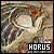 Horus